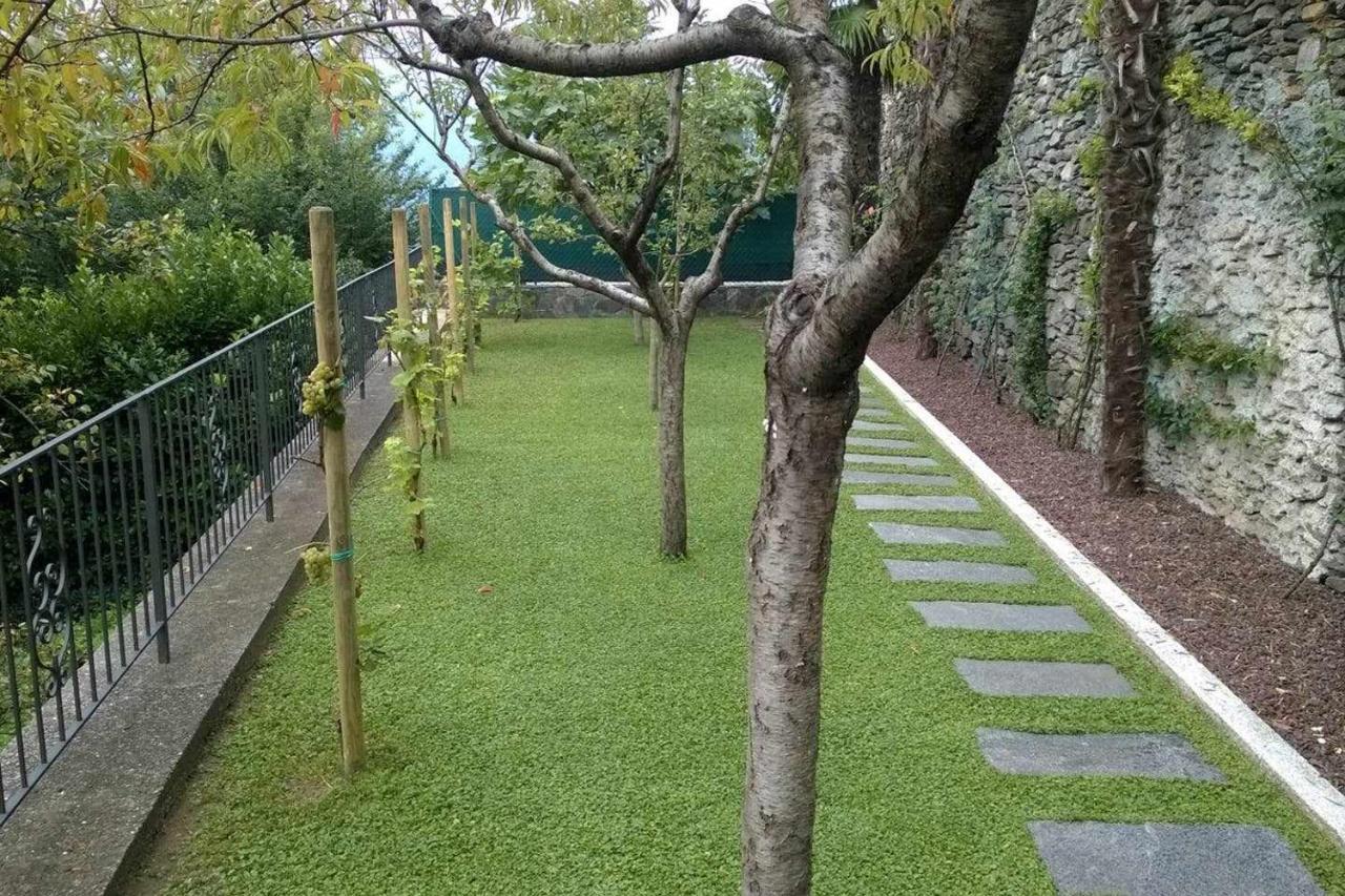 Domus Cusiana Complesso Vista Lago E Piscina Miasino Εξωτερικό φωτογραφία